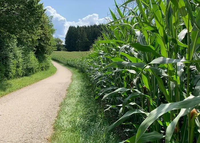 Mit Bergblick *
