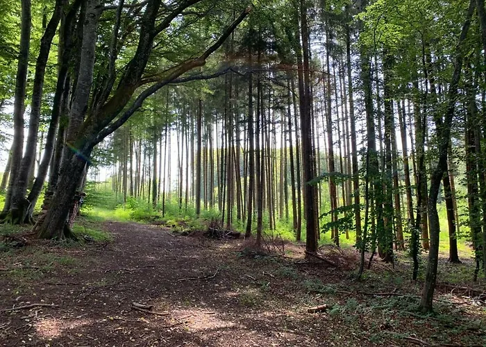 Mit Bergblick * סטארנברג